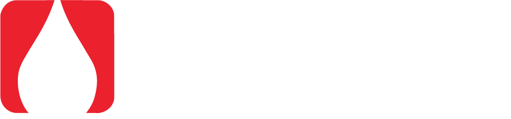 BUSLIZ ASOCIADOS